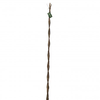 Arac suport pentru plante Strend Pro Willow Bar, rachita 190cm