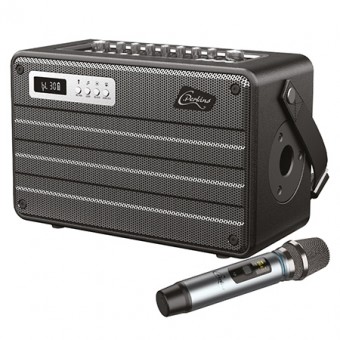 BOXA PORTABILA ALL IN ONE 100W  UHF BT/USB/MSD/AUX