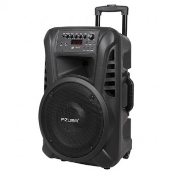 Sistem audio portabil sd bluetooth usb 12 inch 20w