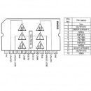 AMPLIFICATOR AUDIO DUAL  12V 5W