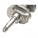 Arbore cotit vibrochen U-445 i FORJAT