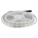 BANDA LED SMD3528 120LED/M 3000K IP65 5M