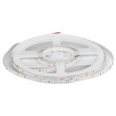 BANDA LED SMD3528 60LED/M VERDE IP20 5M