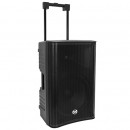 BOXA PORTABILA 12''/31CM 250W RMS TWS CU BT/USB + 2 MIC WIRELESS