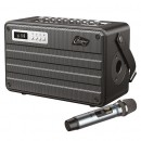 BOXA PORTABILA ALL IN ONE 100W  UHF BT/USB/MSD/AUX