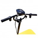 Carucior electric platforma transport marfa 800W, 40V, 2.5x1.25m sarcina maxima 1000Kg THOR