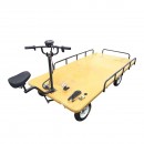 Carucior electric platforma transport marfa 800W, 48V, 2.5x1.25m sarcina maxima 1000Kg THOR