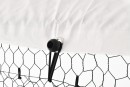 Cotet (tarc) pasari, 3x10x2m, Micul Fermier