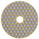 Disc diamantat pentru polisat piatra, marmura Strend Pro PREMIUM DP514, 100 mm, G200