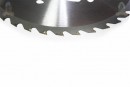 Disc motocos. nr. 12/300 cu vidia si aripioare