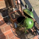 Ghiveci decorativ Strend Pro Metal Frog, inaltime 33 cm, din metal