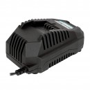 Incarcator rapid, Detoolz, pentru acumulator 20V, incarcare 4.5A/h