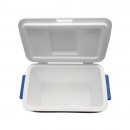 Lada frigorifica pentru picnic 45L albastra 610x330x420mm Breckner Germany