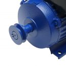 Motor electric monofazat 2.2KW, 220V cu protectie termica, stator 145x90mm Breckner Germany