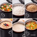 Multicooker aparat gatit orez 2l 12-24v / 230v teesa