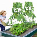 Set 2 spaliere pentru castraveti, plante agatatoare, 100x80, Pliabil
