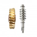 Set pinion bronz cu ax melcat pentru troliu Tractor Forestier
