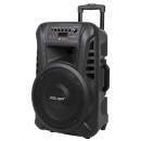 Sistem audio portabil sd bluetooth usb 12 inch 20w