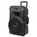 Sistem audio portabil sd bluetooth usb 12 inch 20w