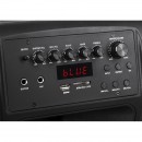 Sistem audio portabil sd bluetooth usb 12 inch 20w