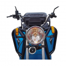 Triciclu electric BRECKNER GERMANY MODEL E 1600W 60V 20AH OMOLOGABIL