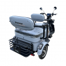 Triciclu electric BRECKNER TRAVEL gri 1000W 60V 20AH