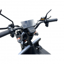 Triciclu electric BRECKNER TRAVEL gri 1000W 60V 20AH