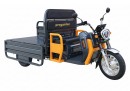 Triciclu Electric Cargo Progarden TRIVO 3000, 25km/h, 72V, 58Ah, incarcator inclus