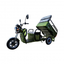 Triciclu electric Thor CITY ECO verde 650W 48V20Ah