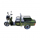 Triciclu electric Thor CITY ECO verde 650W 48V20Ah