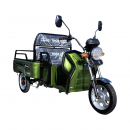 Triciclu electric Thor CITY ECO verde 650W 48V20Ah