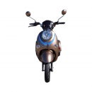 Triciclu electric Thor Spyder maro 800W 60V20Ah