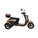 Triciclu electric Thor Spyder maro 800W 60V20Ah