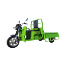 Triciclu electric Thor STAR verde cu CIV 1200W 60V45Ah