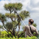 Trimmer gard viu telescopic + drujba 20v fara acc rebel